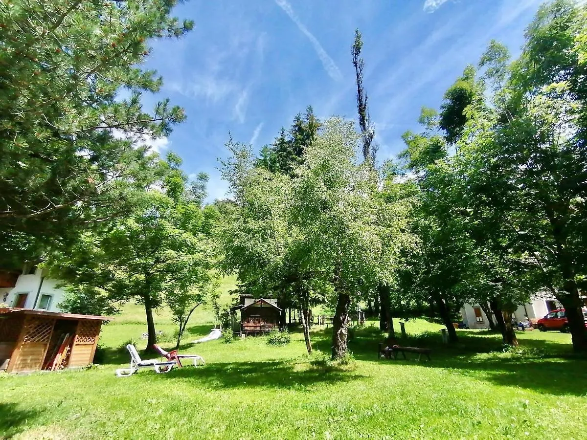 Hotel B&B Lorenzini Ski Selva di Cadore
