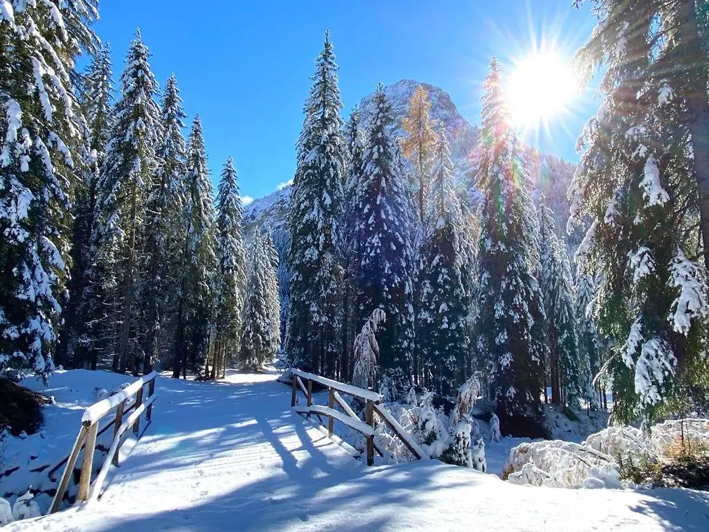 Hotel B&B Lorenzini Ski Selva di Cadore