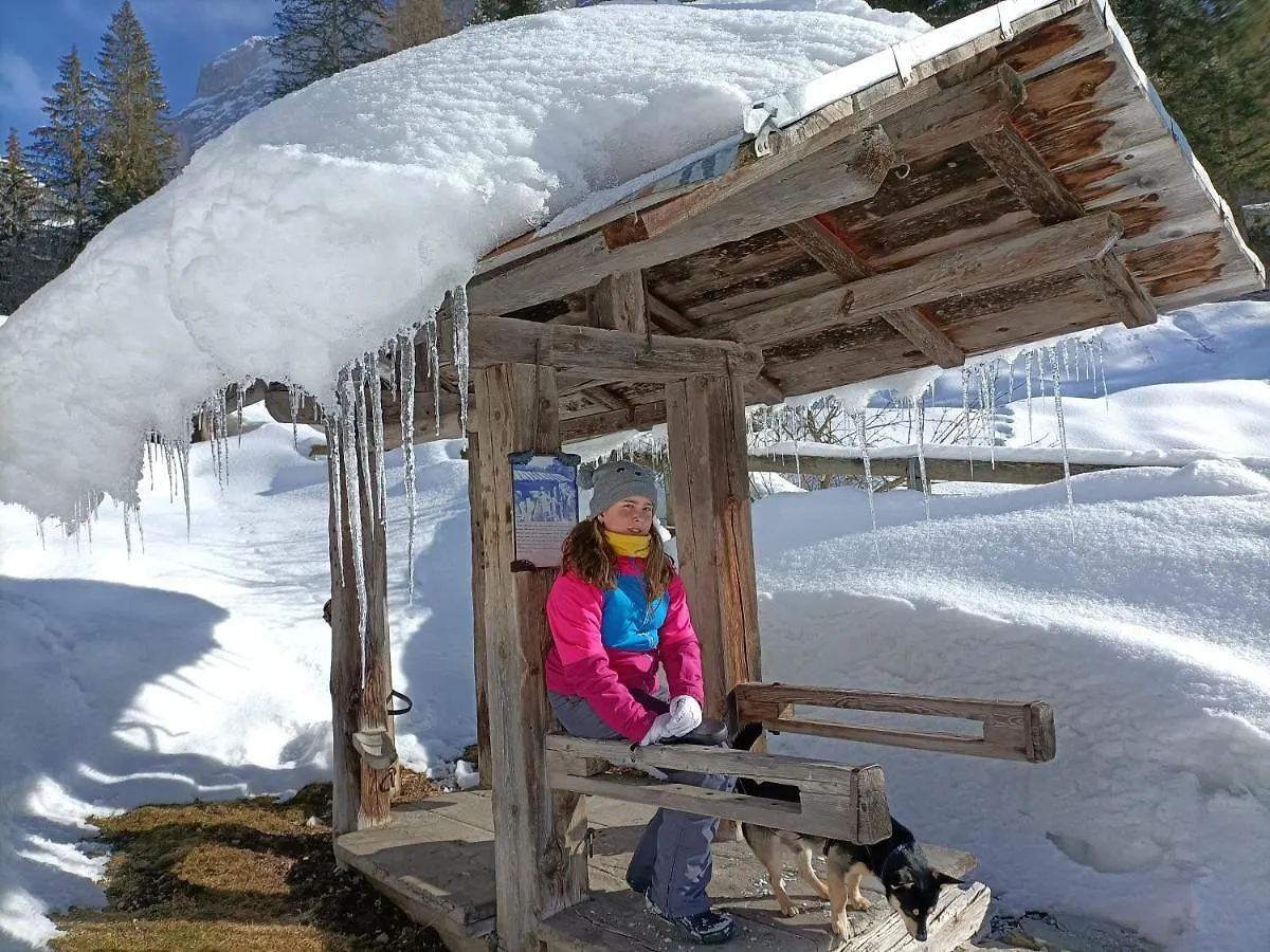 Hotel B&B Lorenzini Ski Selva di Cadore Italia