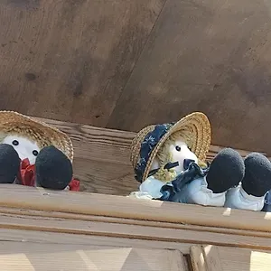 Frühstückspension A Ceda Toa, San Pietro di Cadore